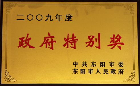 2009年度东阳市政府特别奖